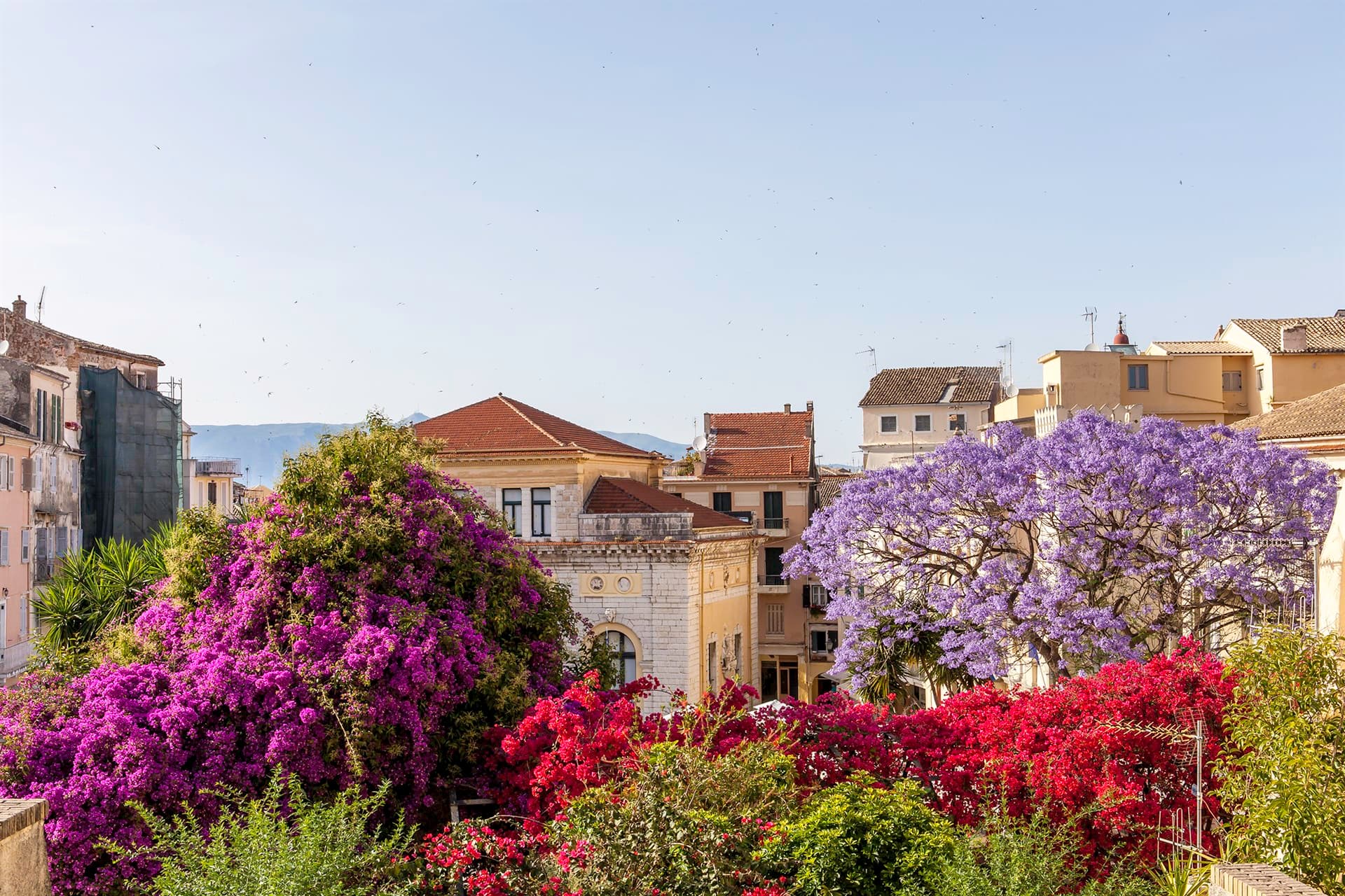 Areas of Corfu